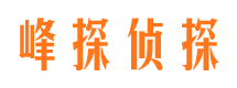 双清市侦探公司